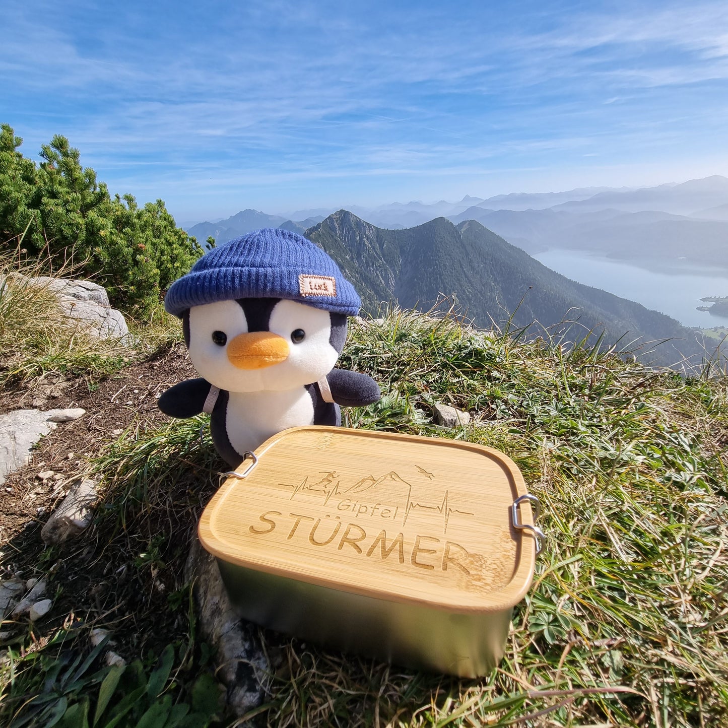 DekoAlm24 Brotdose | Lunchbox | Edelstahl mit Bambusdeckel | personalisiert - Gipfelstürmerin