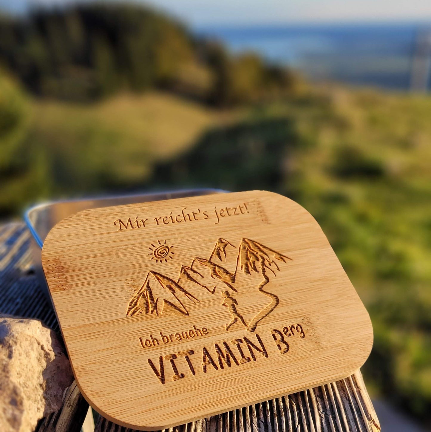DekoAlm24 Lunchbox - Mir reicht's Ich geh Boarden - aus Edelstahl mit Bambusdeckel & Spannband