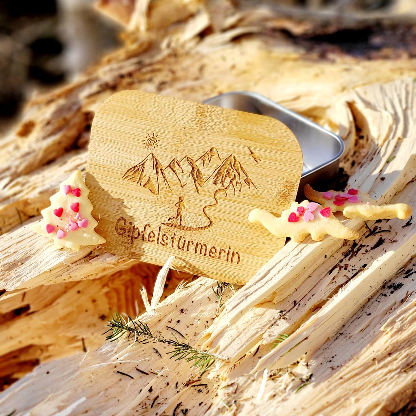 DekoAlm24 Lunchbox - Gipfelstürmerin - MTB - aus Edelstahl mit Bambusdeckel & Spannband